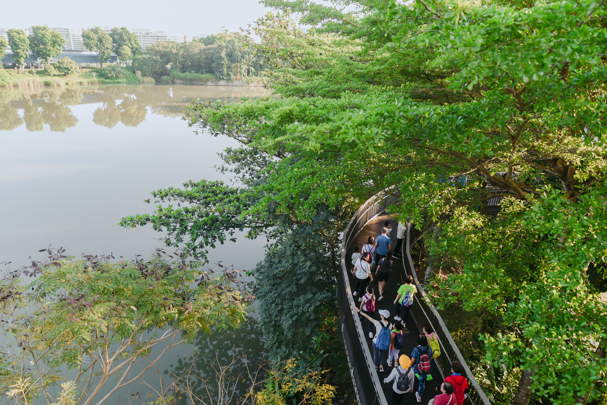 The Inaugural SYNC. Festival Promotes Sustainable Wellbeing