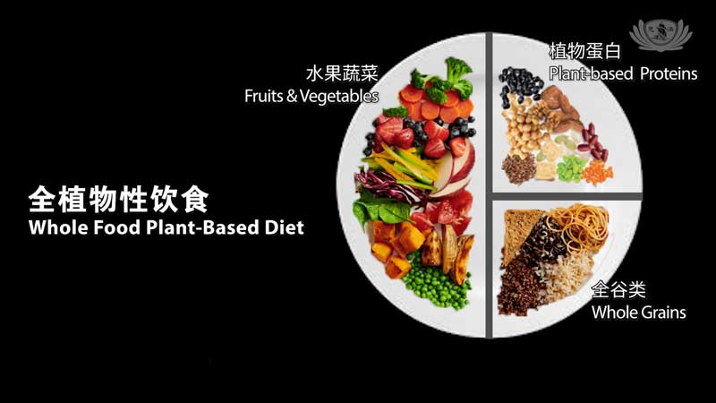 21-Day Healthy Diet Challenge Singapore Edition is Now On