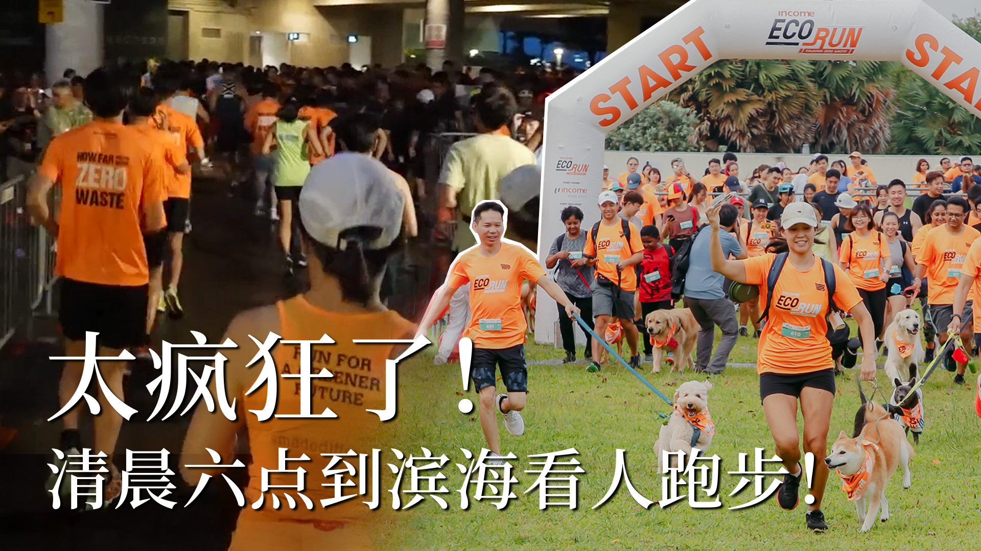 太疯狂了！清晨六点到滨海看人跑步！ 